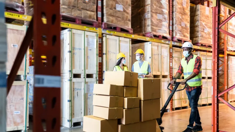 Supply Chain